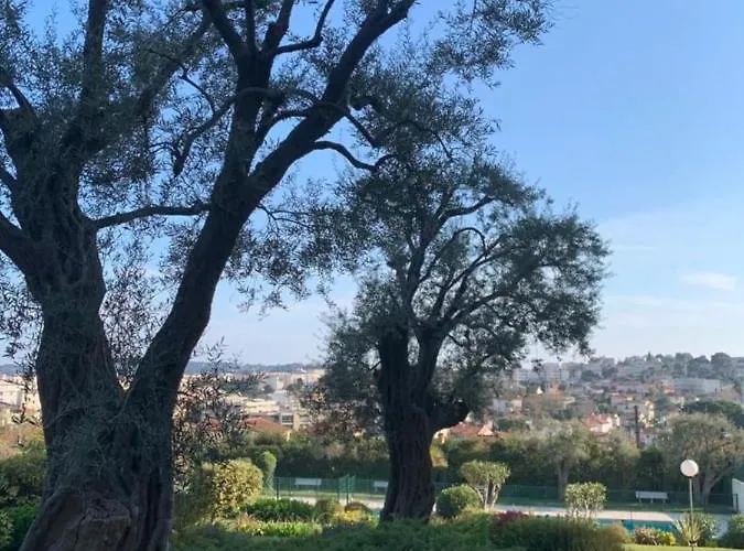 Le Chambord Stylish 2-bedroom With Breathtaking View In Antibes! Vakantiehuis *