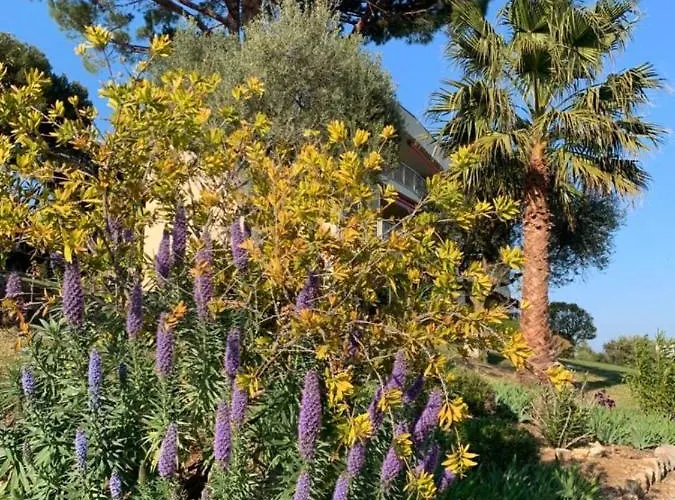 Le Chambord Stylish 2-bedroom With Breathtaking View In Antibes! * Antibes